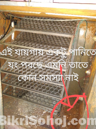 ইনকিউবেটর ডিম থেকে বাচ্চা ফুটানো মেশিন